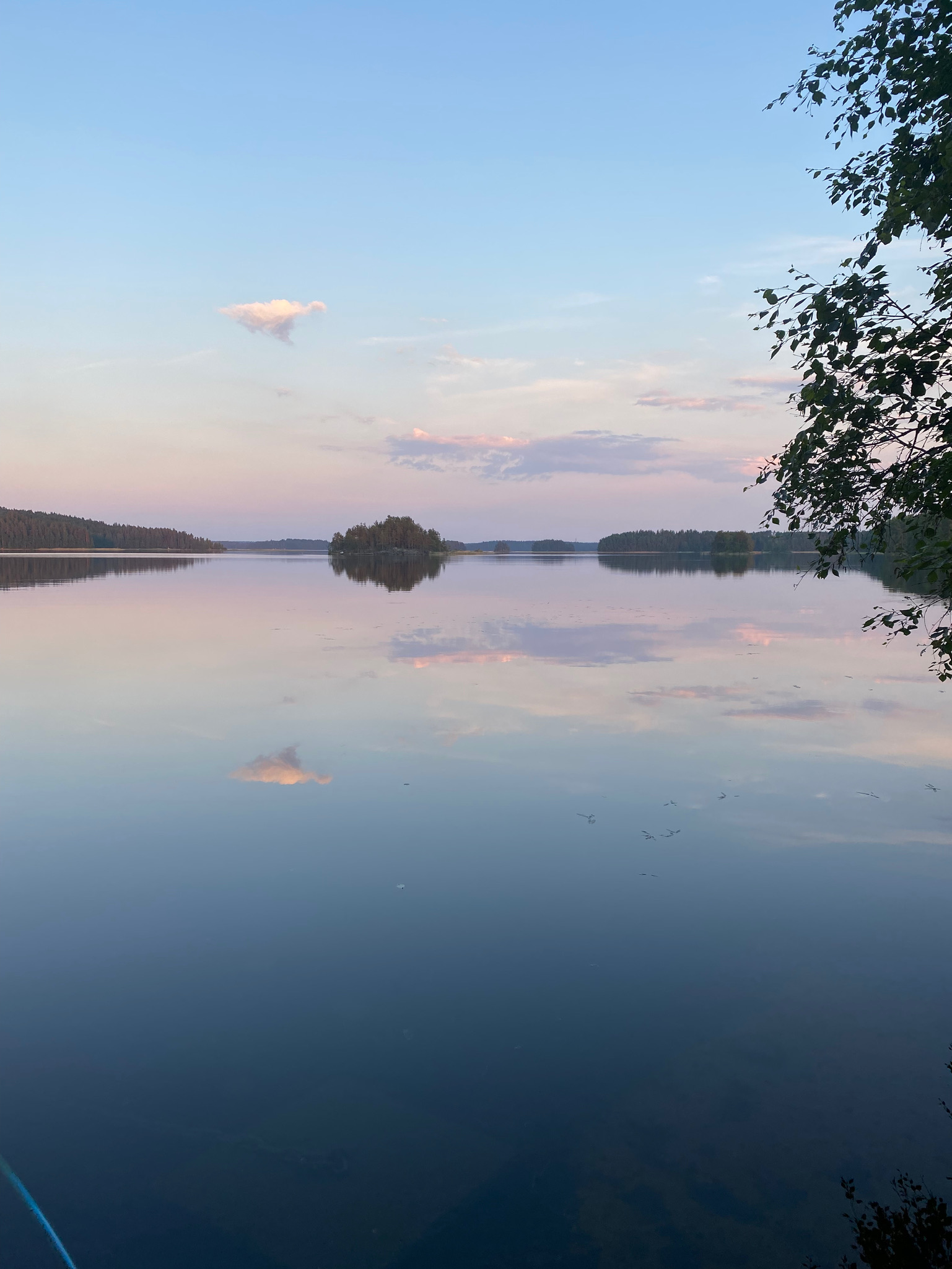 Beneath a Pink Sky: